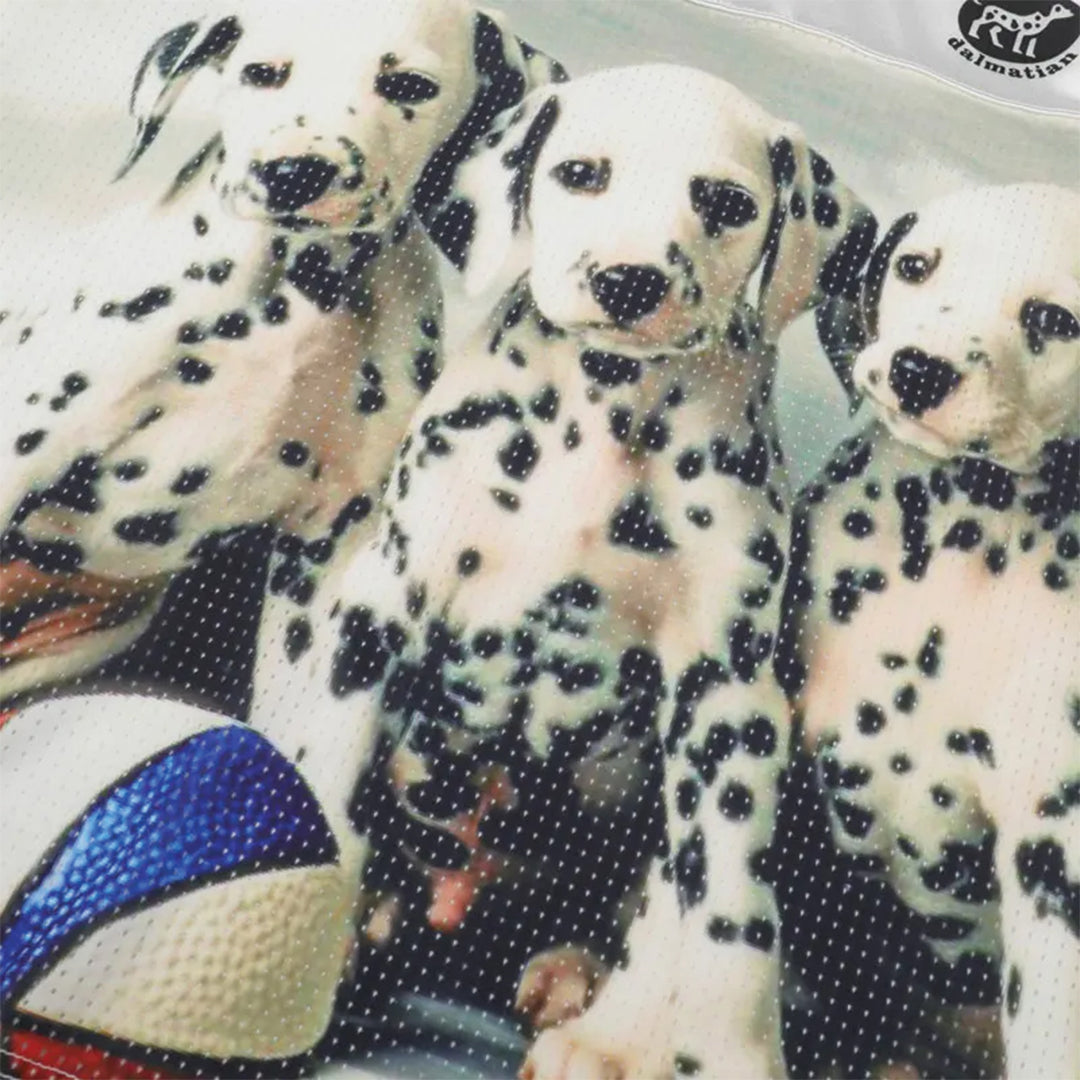 Fetch League Jersey