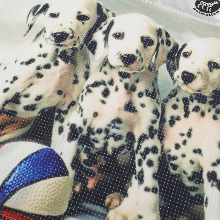 Fetch League Jersey